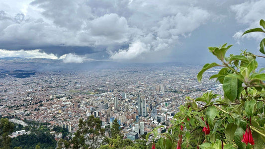 A panoramic view of Bogota, Colombia, with dense buildings beneath a cloudy sky, seen from a hillside adorned with green plants in the foreground—perfect for discovering Bogota’s unique charm.