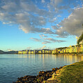 Golden Light on the Waterfront