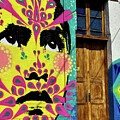 Mural and Door