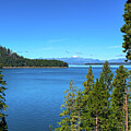 Serene Lake Almanor and Mount Lassen