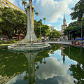 Statue in a Reflective Pond in Rio