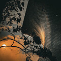 Sun Setting at the Soumaya