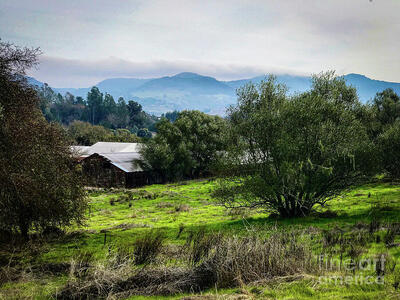 Photographer Leslie Brashear Launches New Photo Website